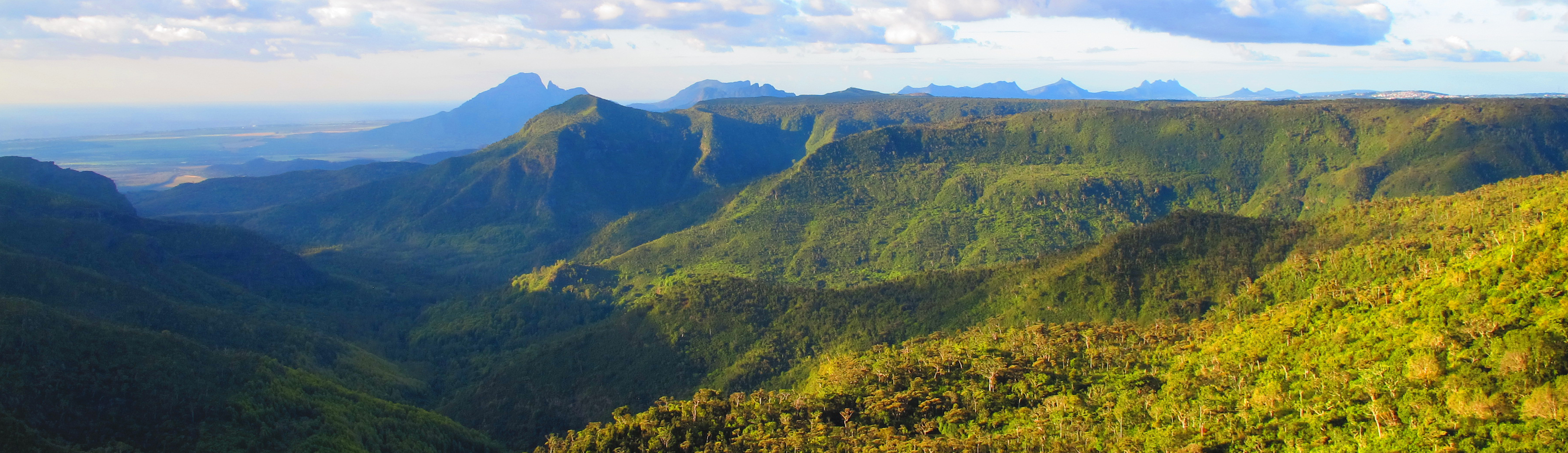 Mauricius - Black River Gorges National Park